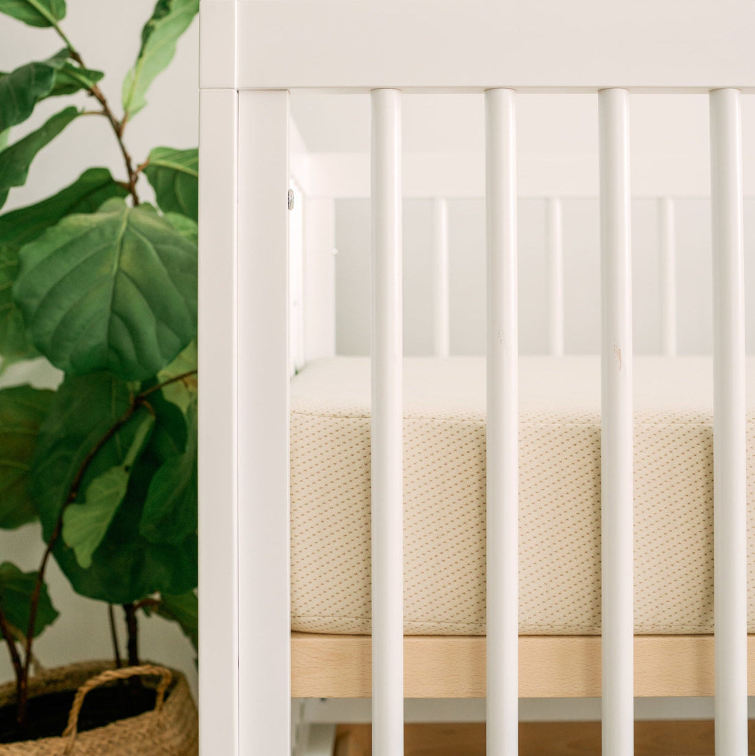 Colgatge Crib Mattress