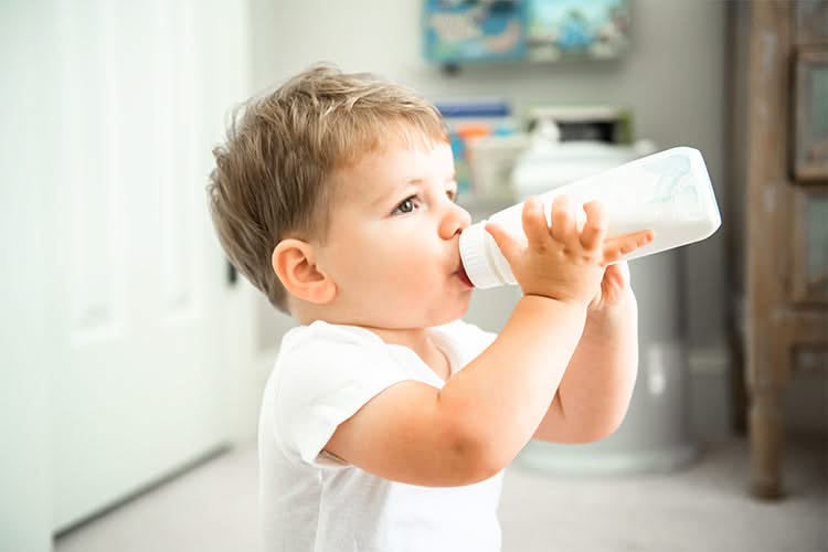 Toddler drinking milk from the bottle