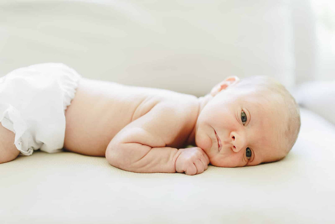 Poppy newborn