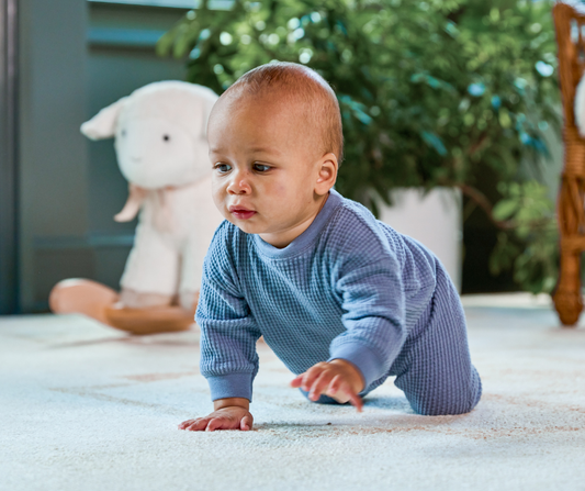 5 month old crawling