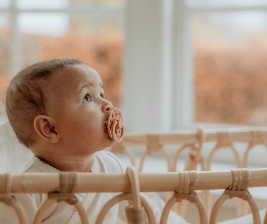 A baby with a bibs pacifier
