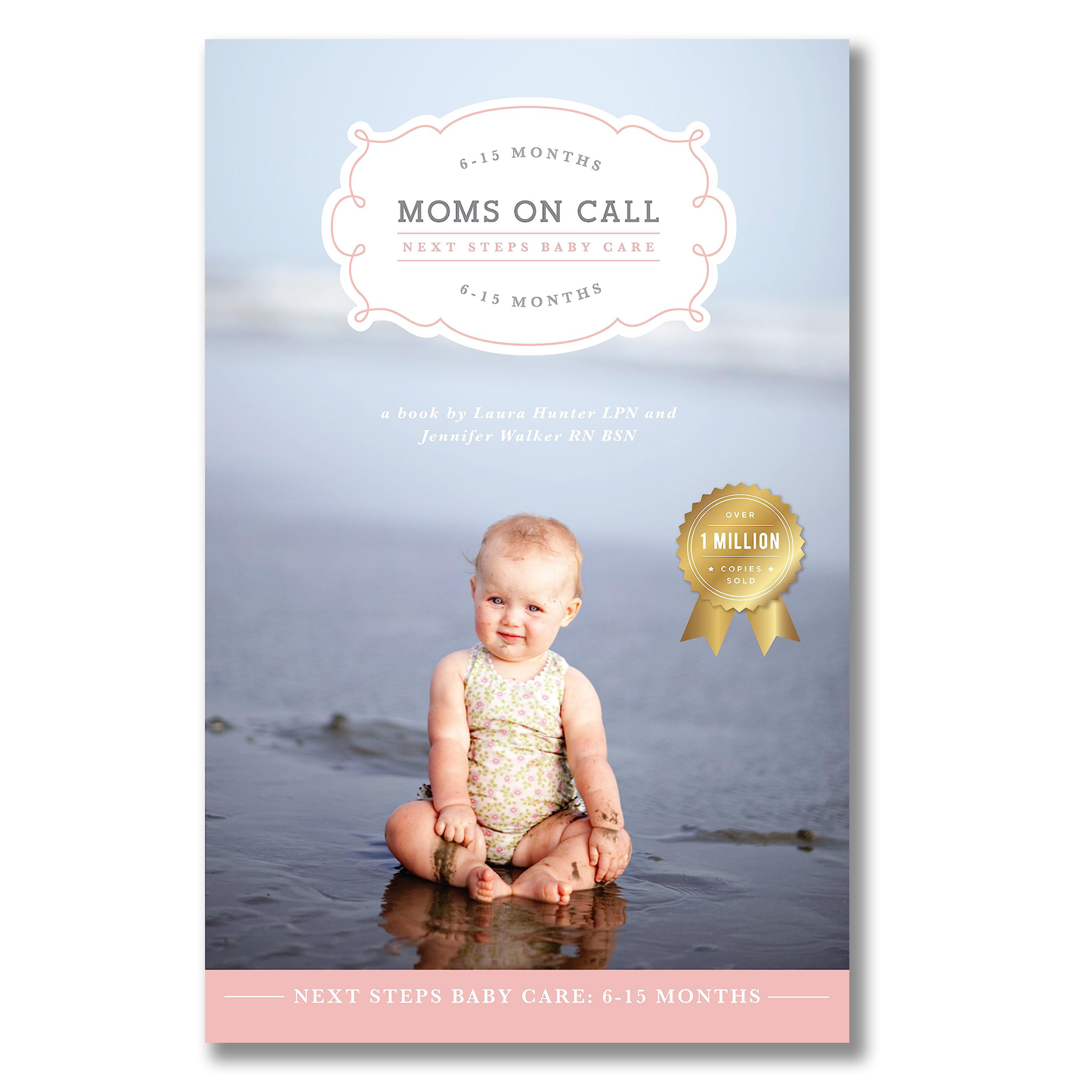 6-15 Month Book